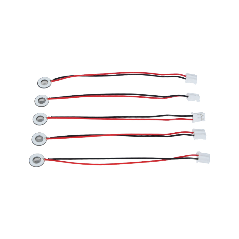 Pienoistetut tuotteet Φ8 mm:n sisäänhengitettävä lääketieteellisen mesh-sumualusta Pieni määrä sumutusta Kostutus sumualustalla Tuoksuva sumualusta